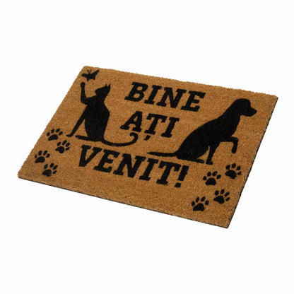 Covoras Intrare Antiderapant , Family, Heinner Home, Mix 5 Modele/ In Bax