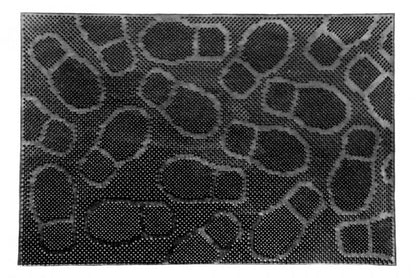 Covoras intrare Vanora, 40 x 60 cm, cauciuc