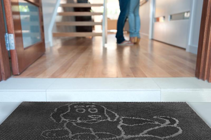 Covoras intrare Vanora, 40 x 60 cm, cauciuc